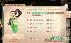 能控制能输出的好女人 大话西游私服美女玩家采访